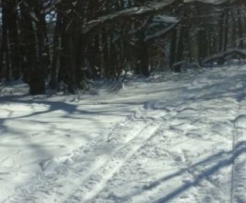 Aktuality / Turistický pochod-výsledky