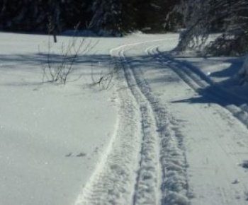 Aktuality / Turistický pochod-výsledky