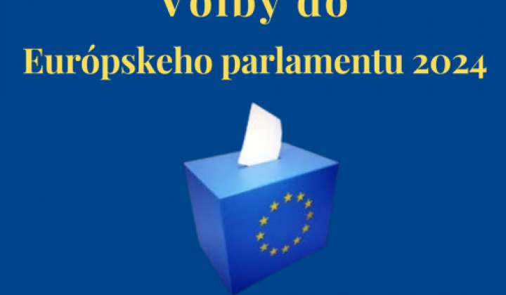 Fotka - Voľby do Európskeho parlamentu v roku 2024